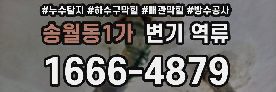 송월동1가 변기 역류