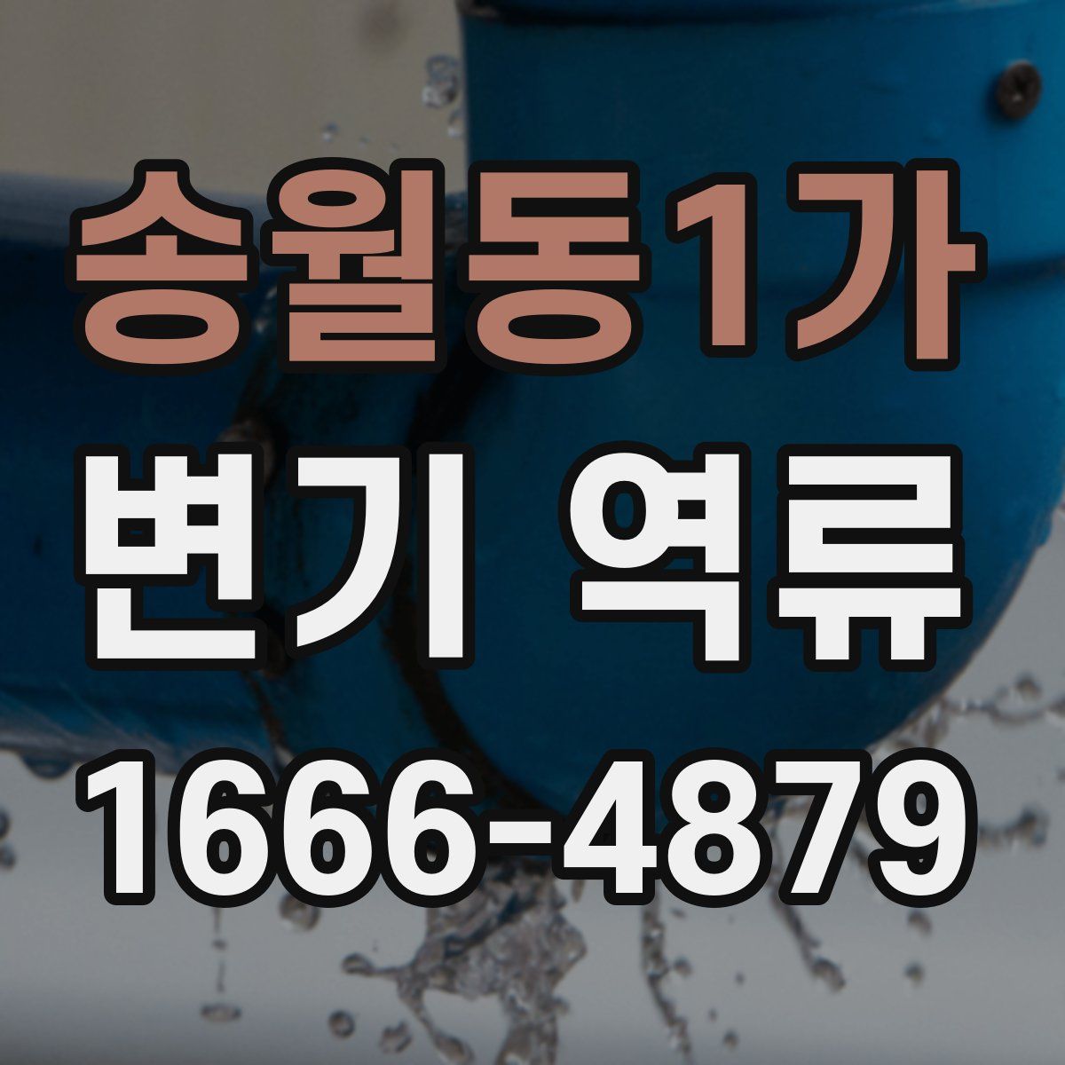 송월동1가 변기 역류