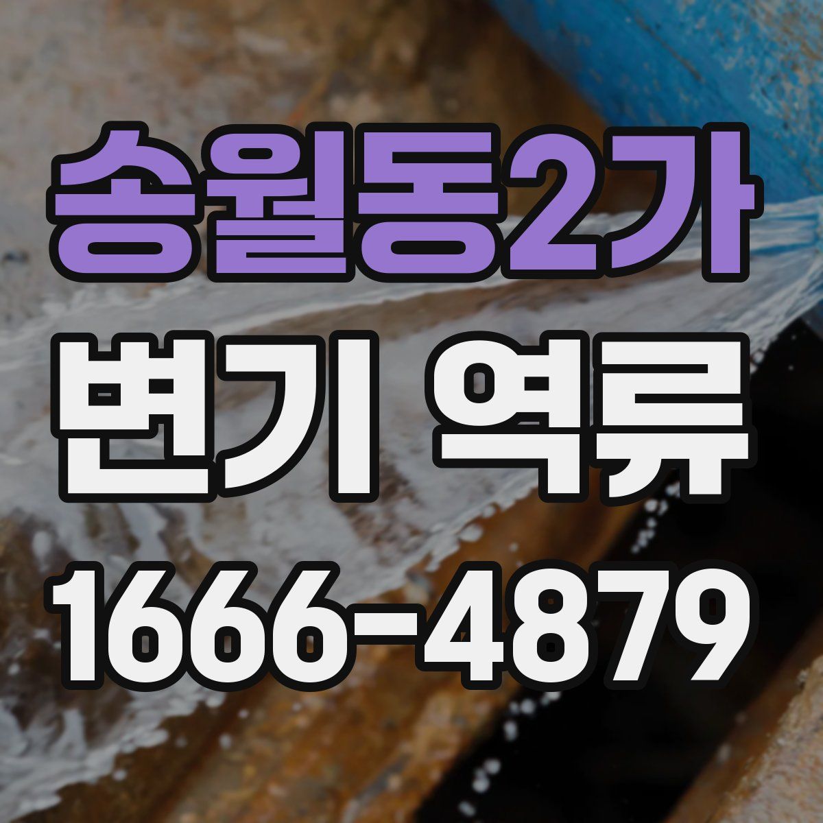 송월동2가 변기 역류
