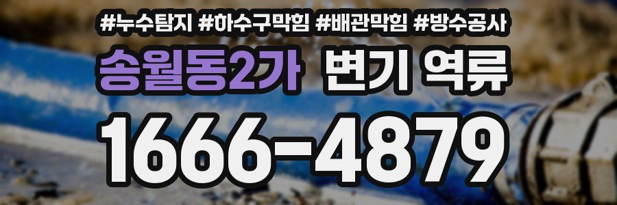 송월동2가 변기 역류