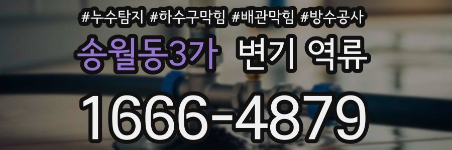 송월동3가 변기 역류