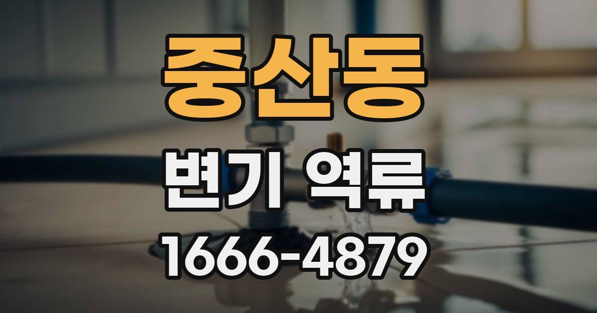 중산동 변기 역류