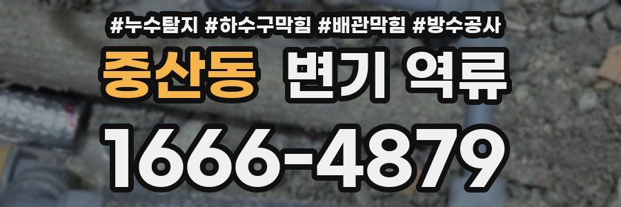 중산동 변기 역류
