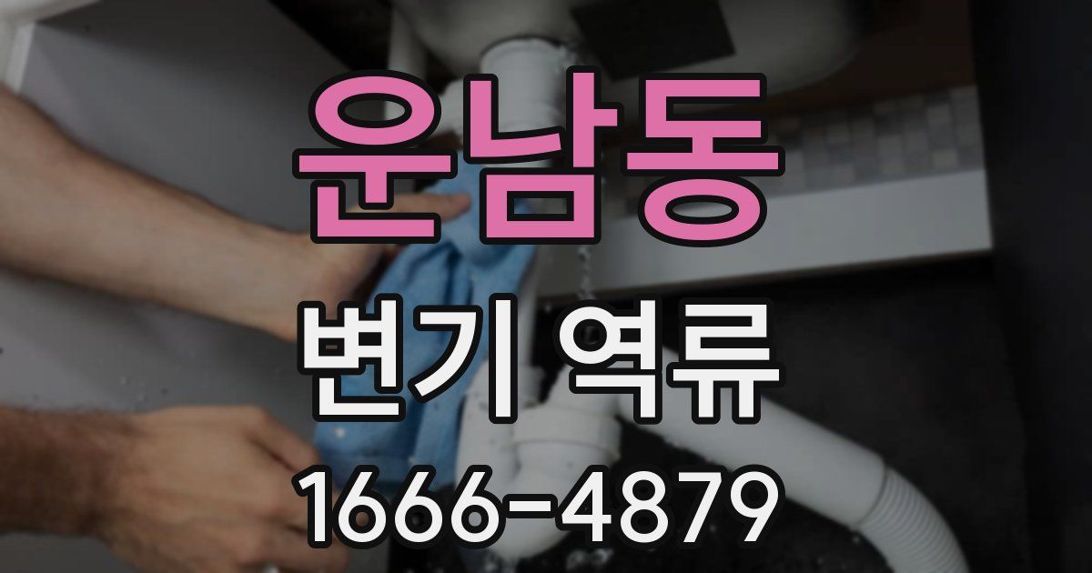 운남동 변기 역류