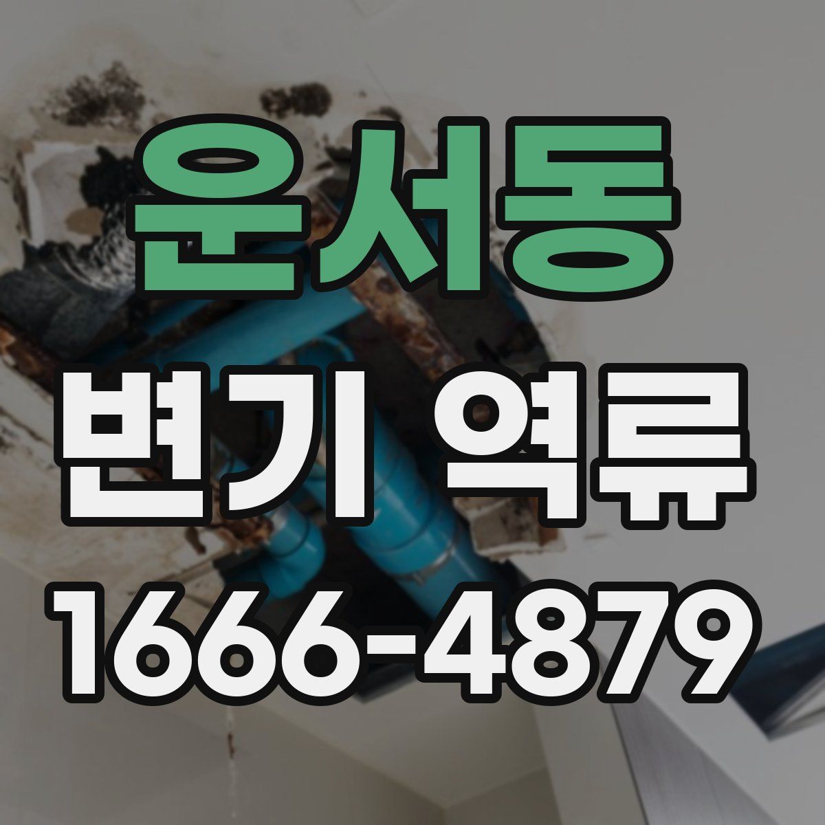 운서동 변기 역류