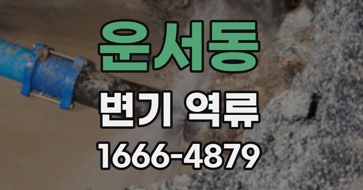 운서동 변기 역류