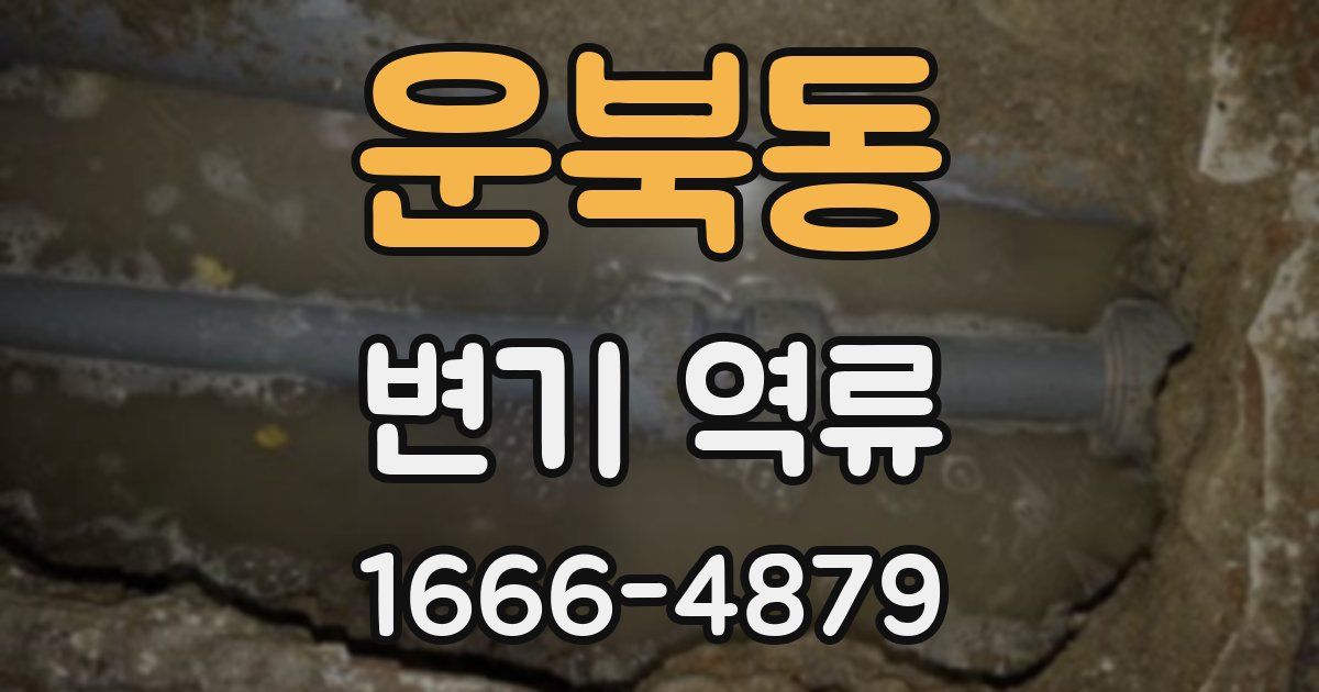 운북동 변기 역류