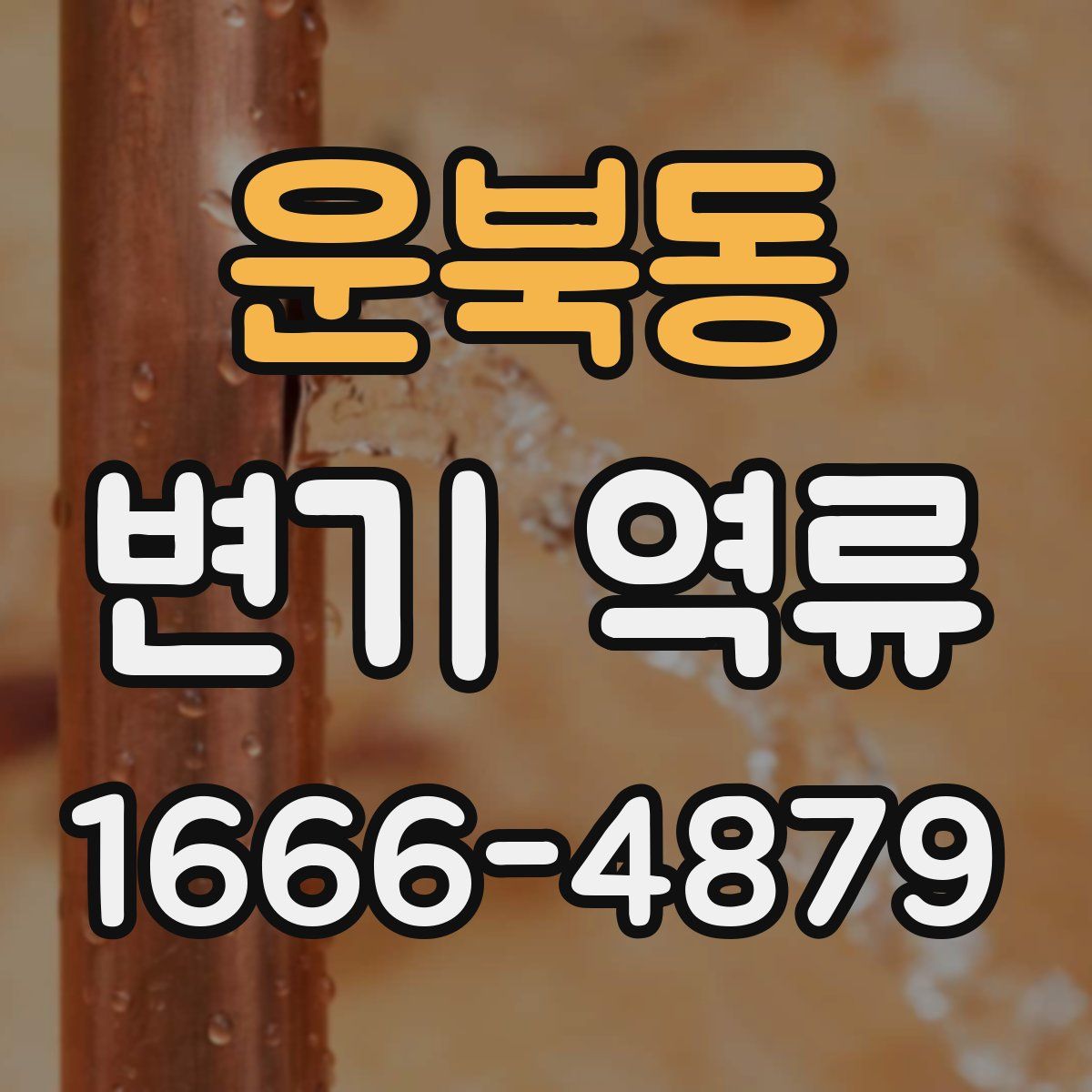 운북동 변기 역류