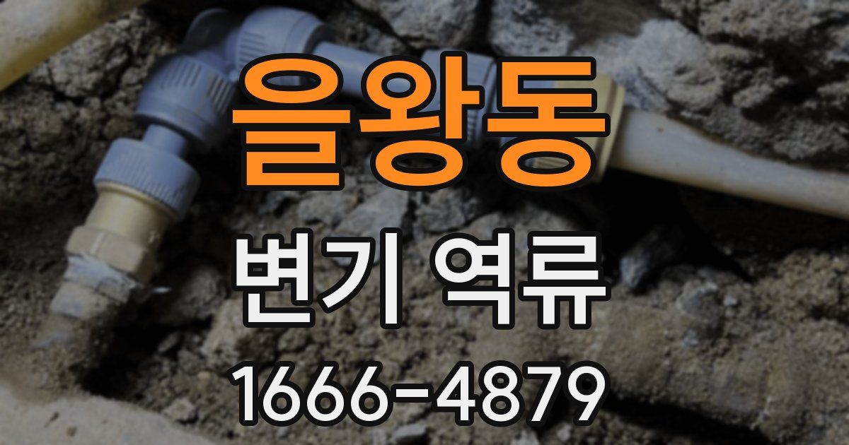 을왕동 변기 역류