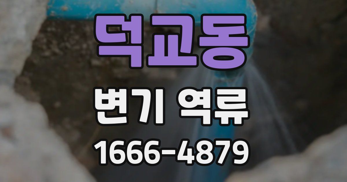 덕교동 변기 역류