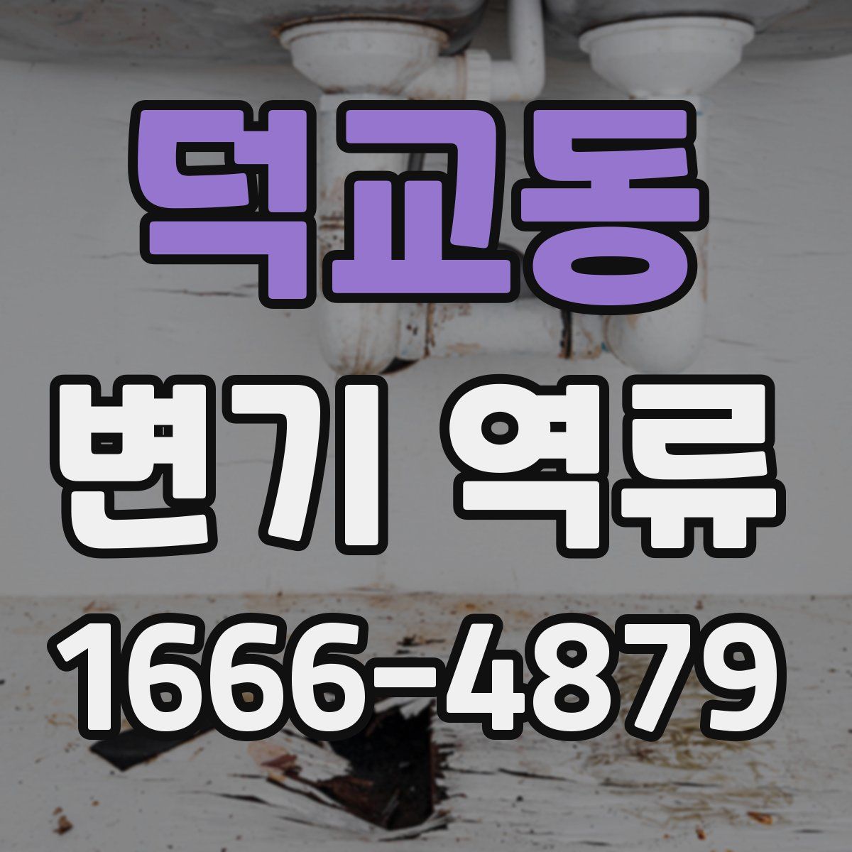 덕교동 변기 역류