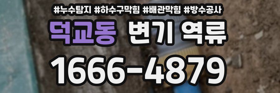 덕교동 변기 역류
