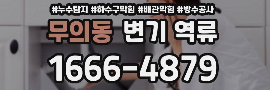 무의동 변기 역류