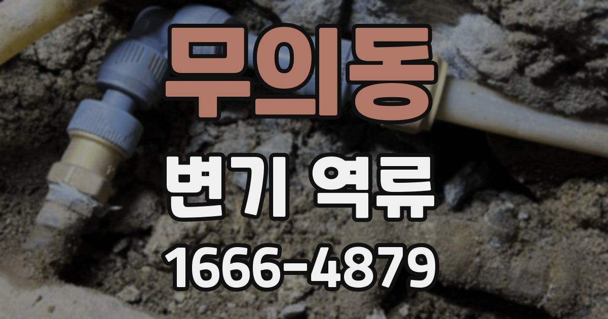 무의동 변기 역류
