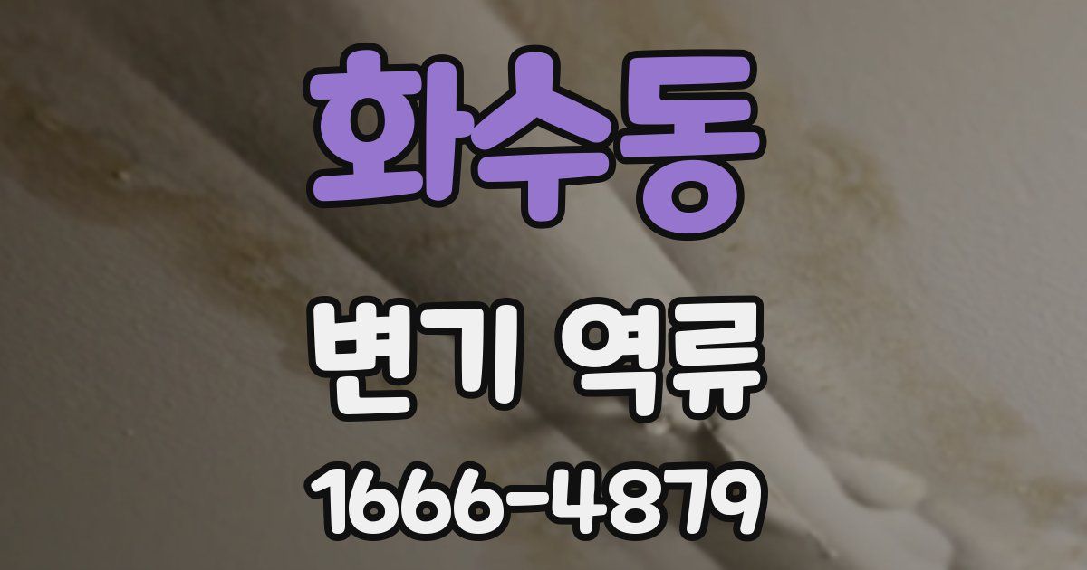 화수동 변기 역류