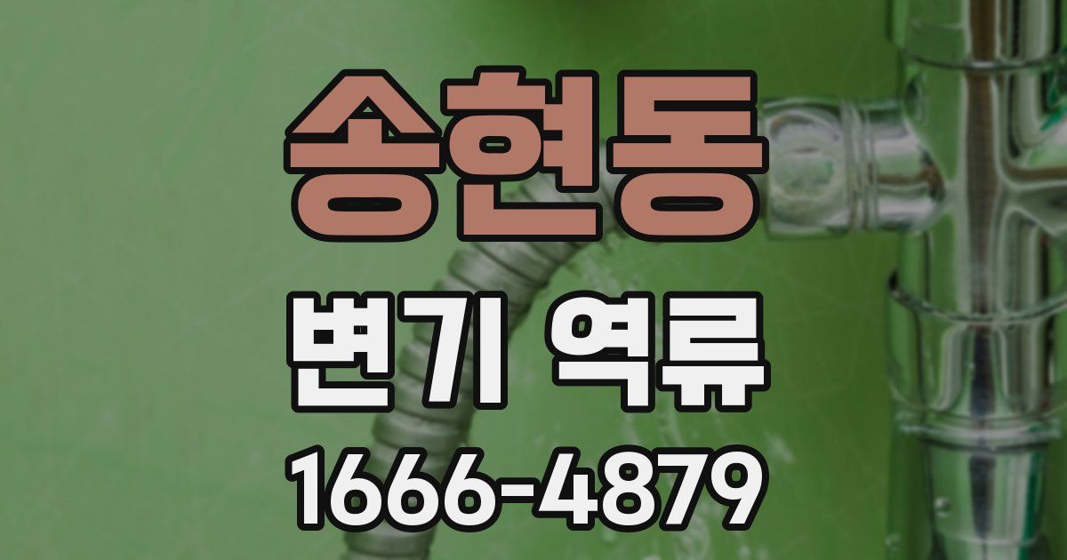 송현동 변기 역류
