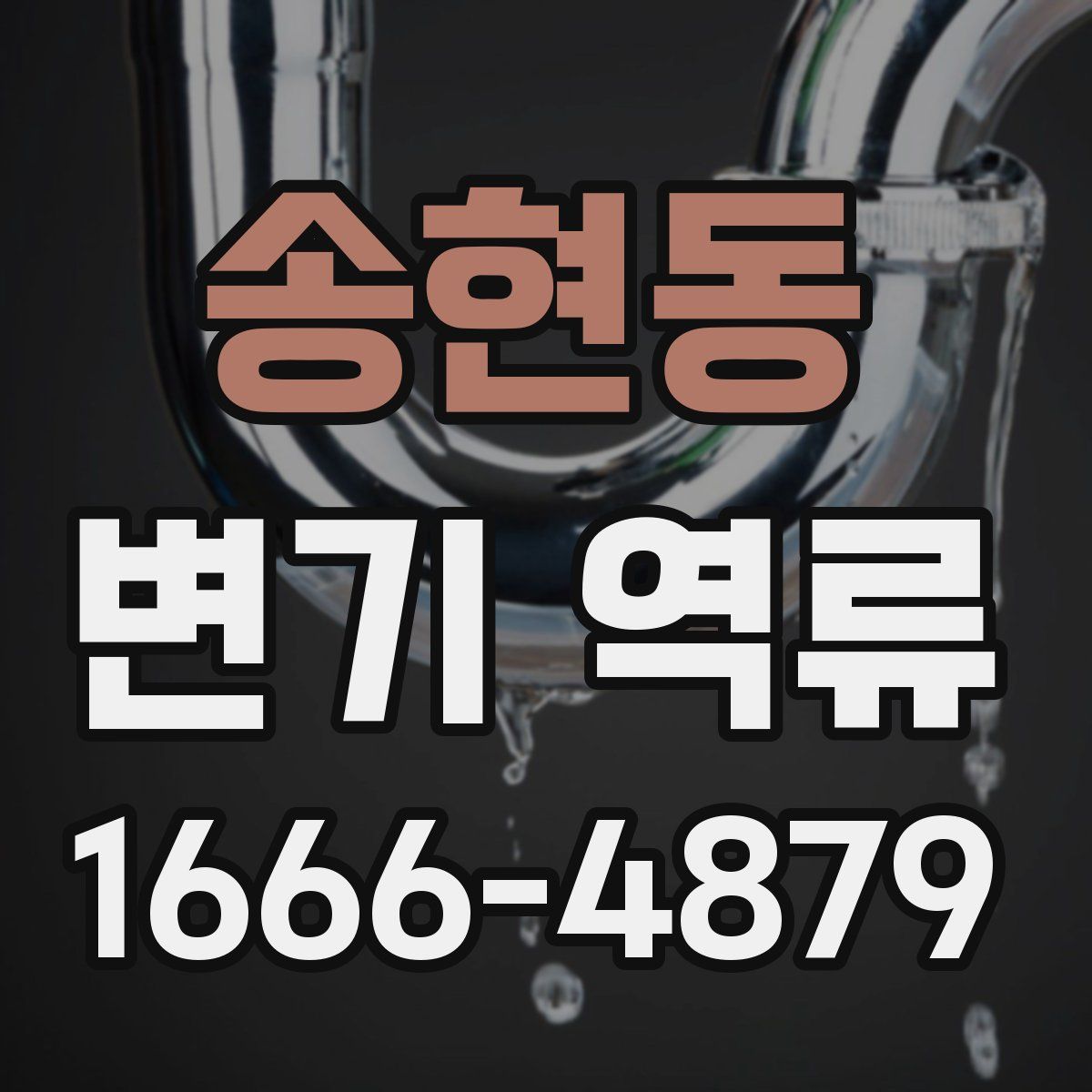 송현동 변기 역류