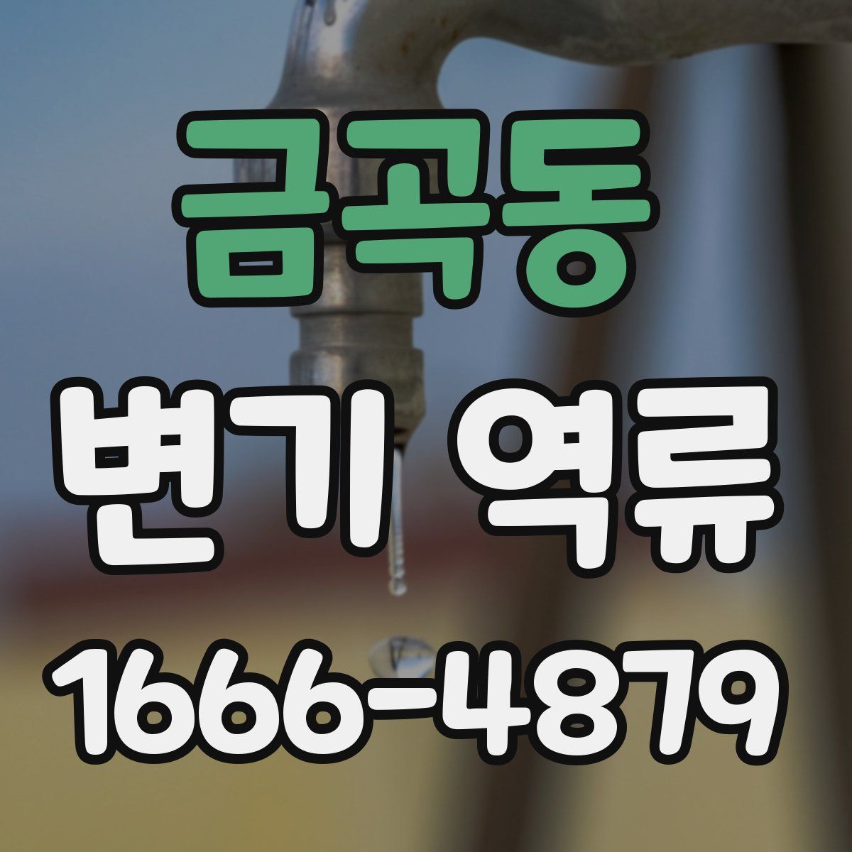 금곡동 변기 역류