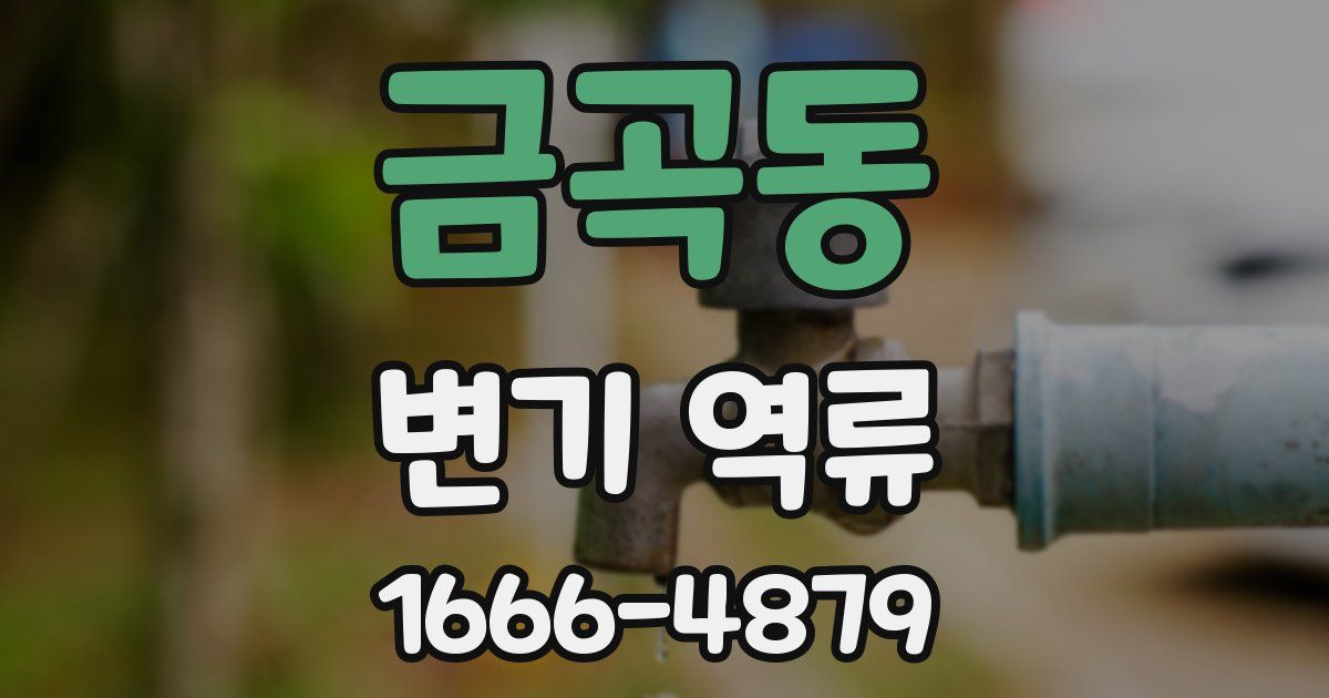 금곡동 변기 역류