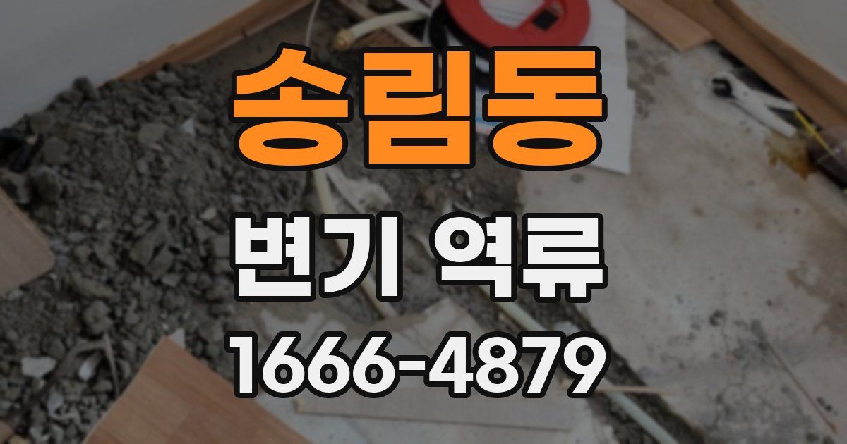 송림동 변기 역류