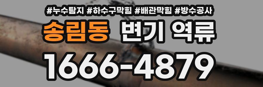 송림동 변기 역류