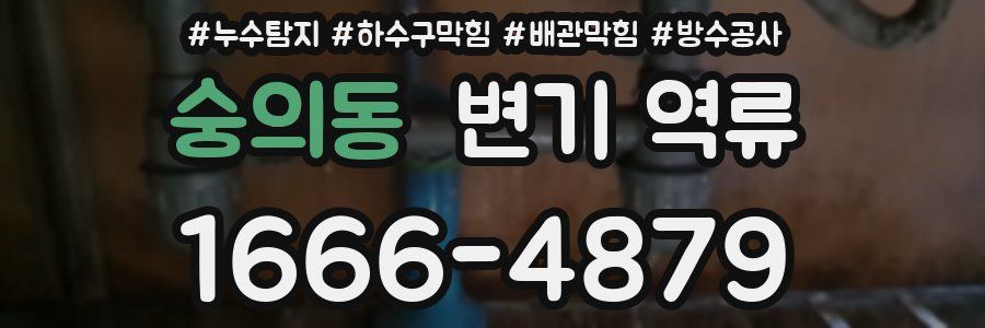 숭의동 변기 역류
