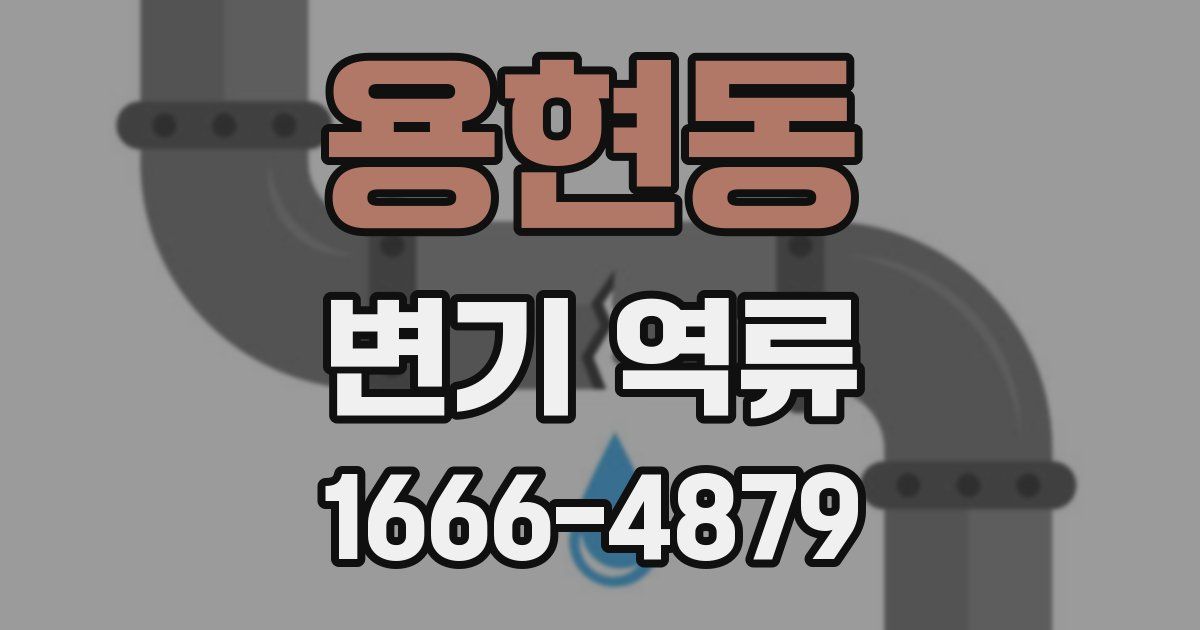 용현동 변기 역류