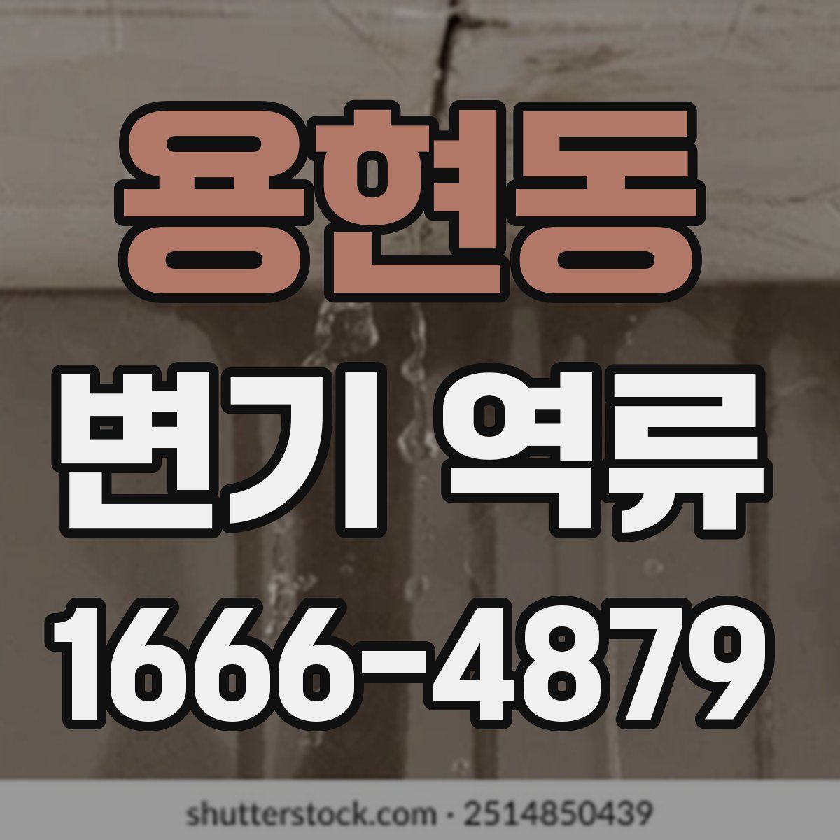 용현동 변기 역류