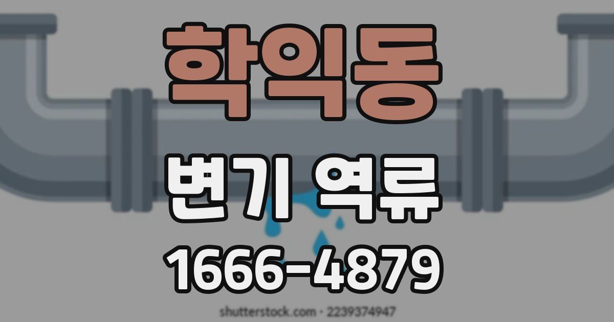 학익동 변기 역류