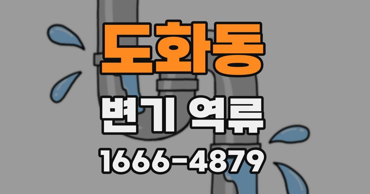 도화동 변기 역류
