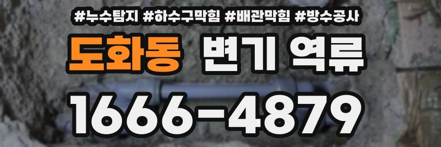 도화동 변기 역류
