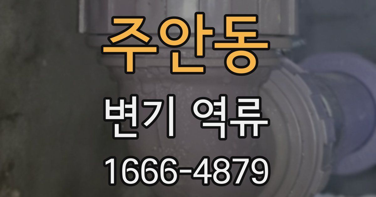 주안동 변기 역류