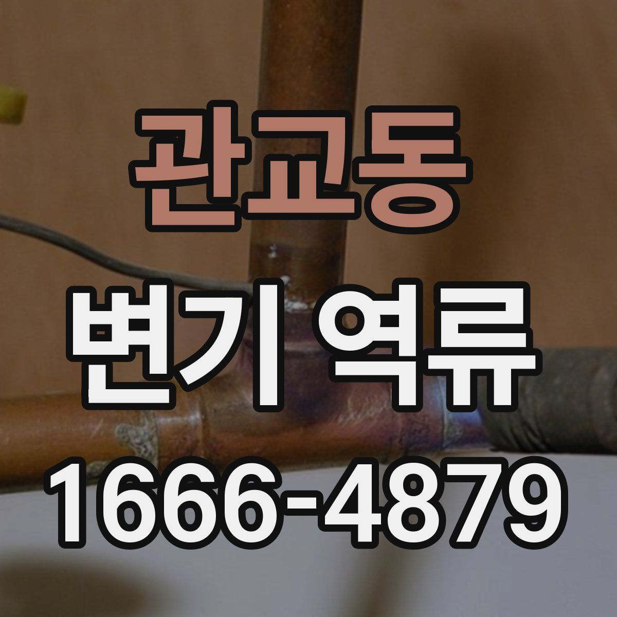 관교동 변기 역류