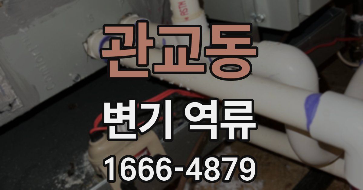 관교동 변기 역류