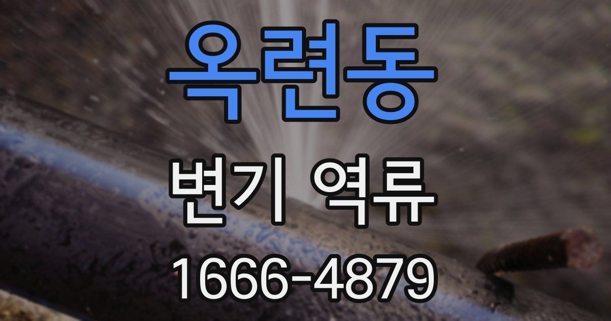 옥련동 변기 역류