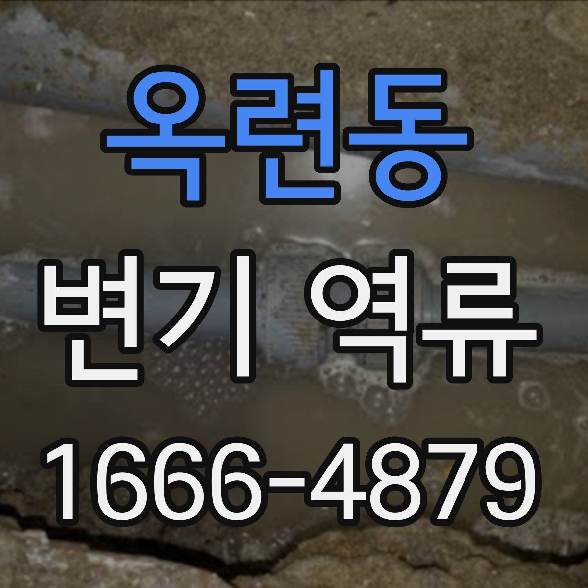 옥련동 변기 역류