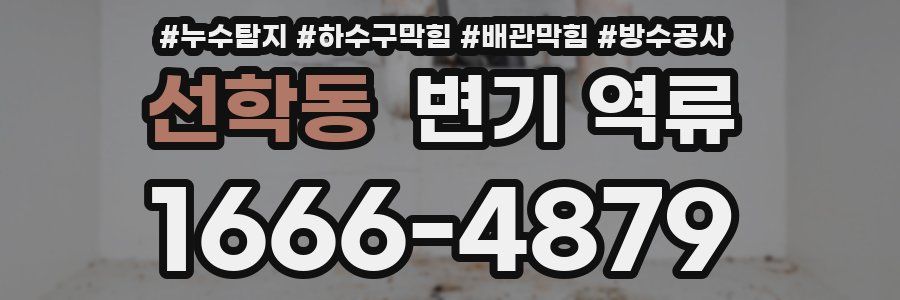 선학동 변기 역류