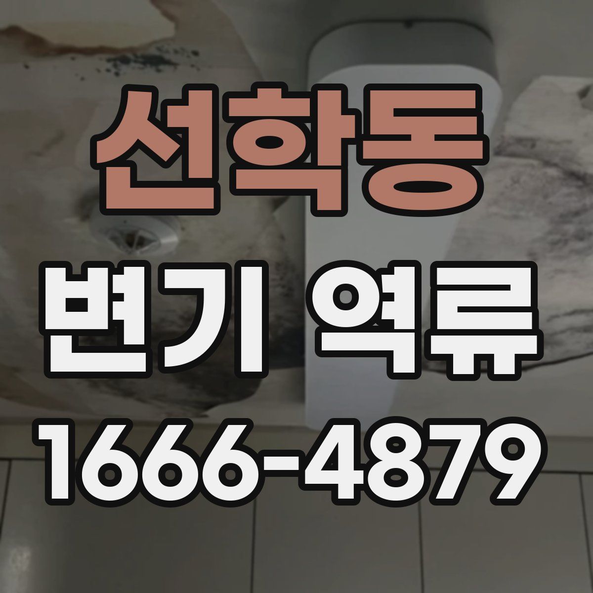 선학동 변기 역류
