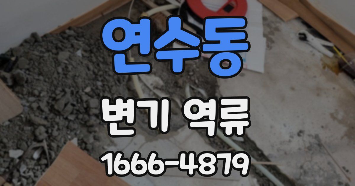 연수동 변기 역류