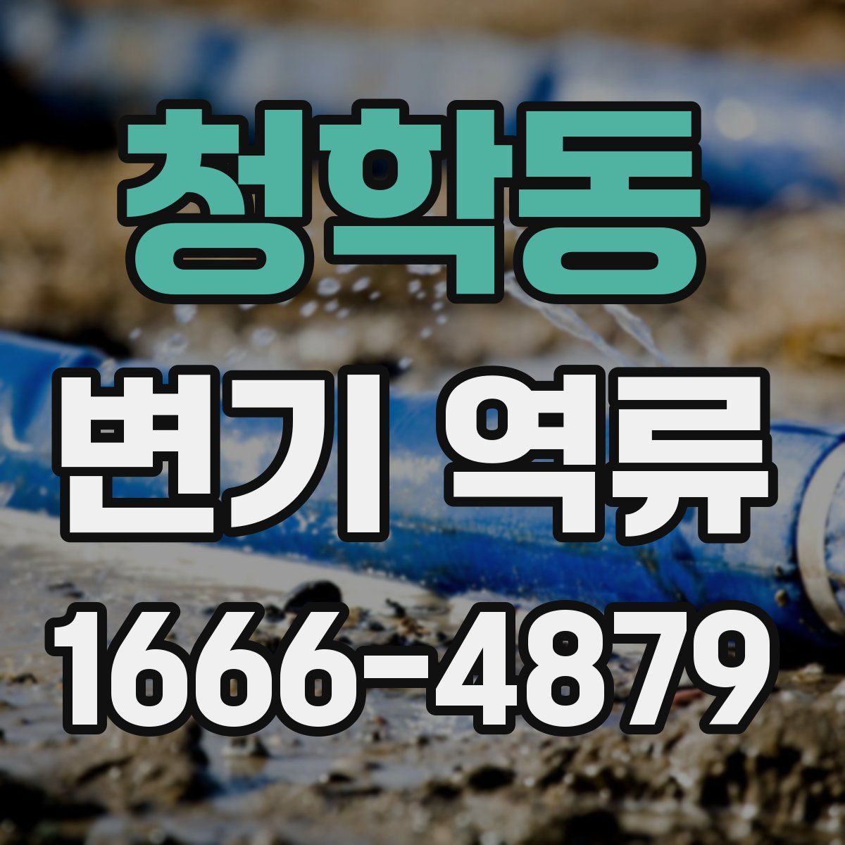 청학동 변기 역류