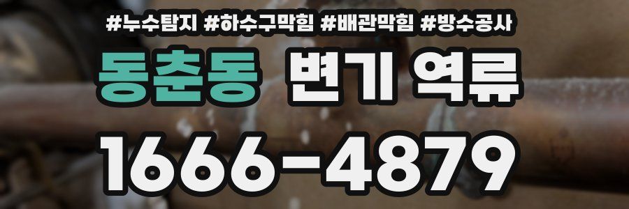 동춘동 변기 역류