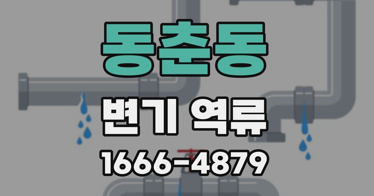 동춘동 변기 역류