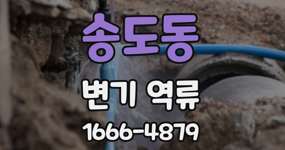 송도동 변기 역류