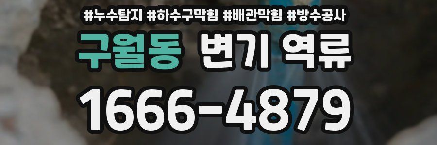 구월동 변기 역류