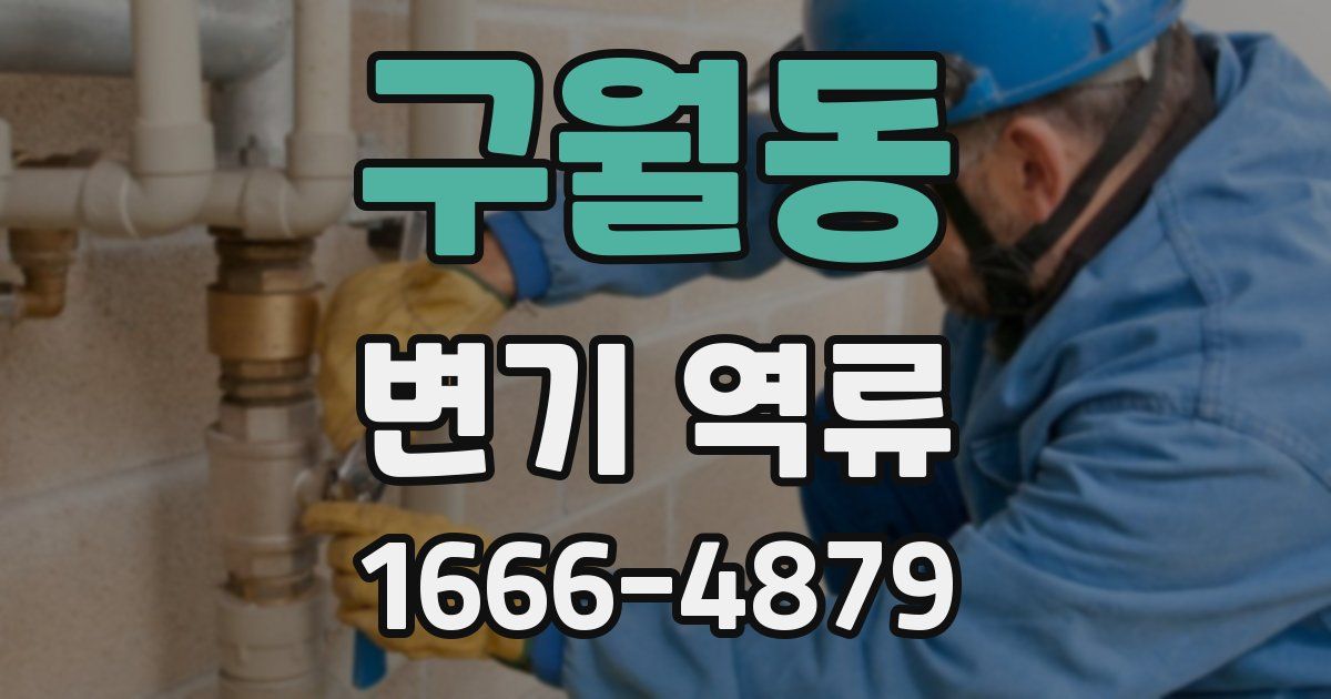 구월동 변기 역류