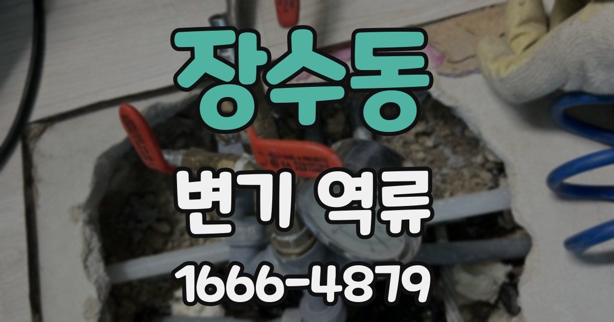 장수동 변기 역류