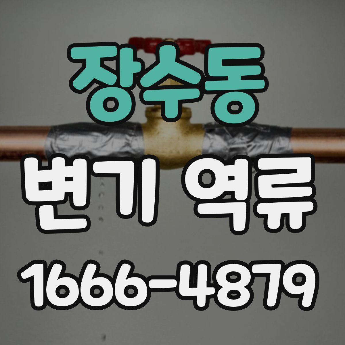 장수동 변기 역류