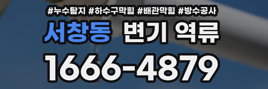 서창동 변기 역류