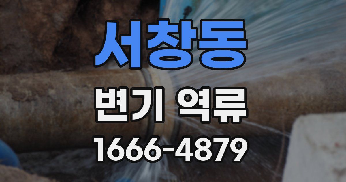 서창동 변기 역류