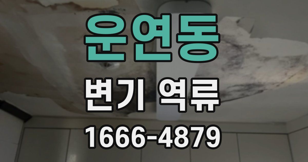 운연동 변기 역류